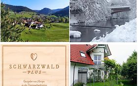 Ferienwohnung, Sauna&Gästekarte gratis im Schwarzwald